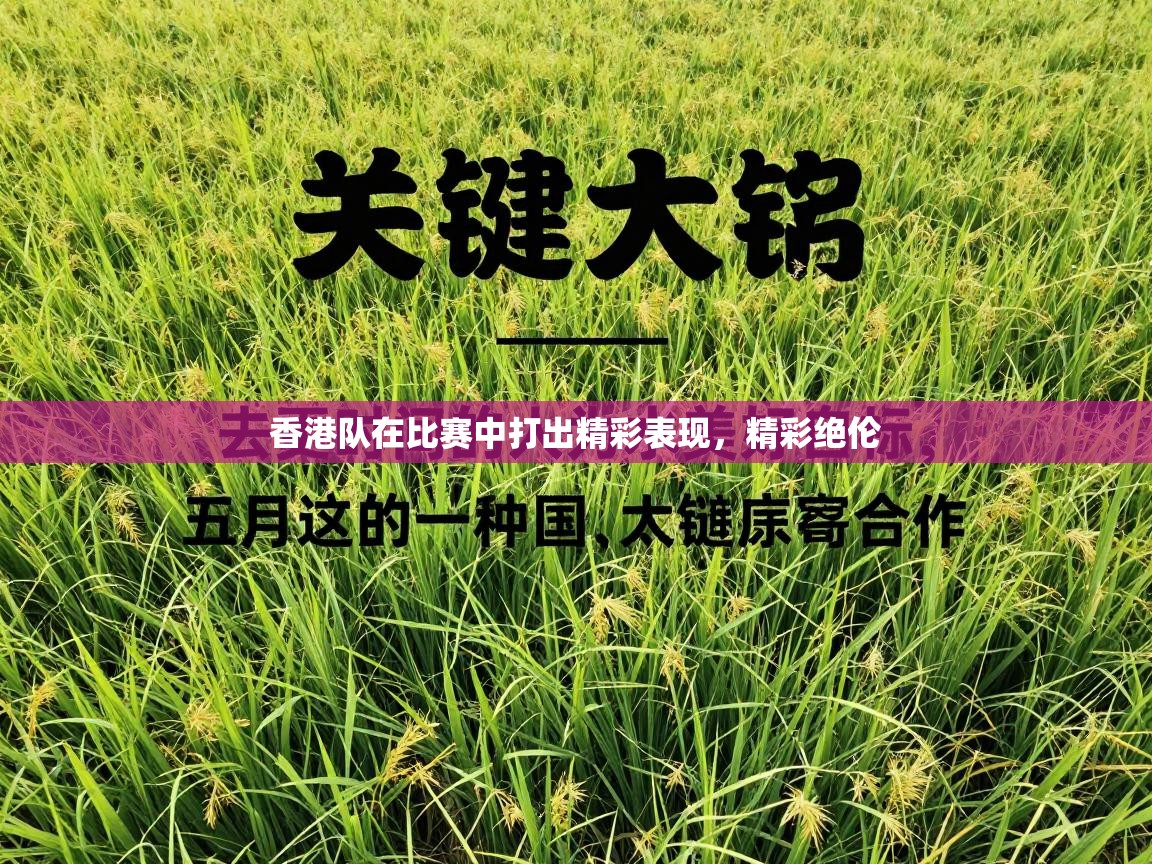香港队在比赛中打出精彩表现，精彩绝伦